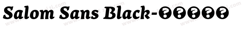 Salom Sans Black字体转换